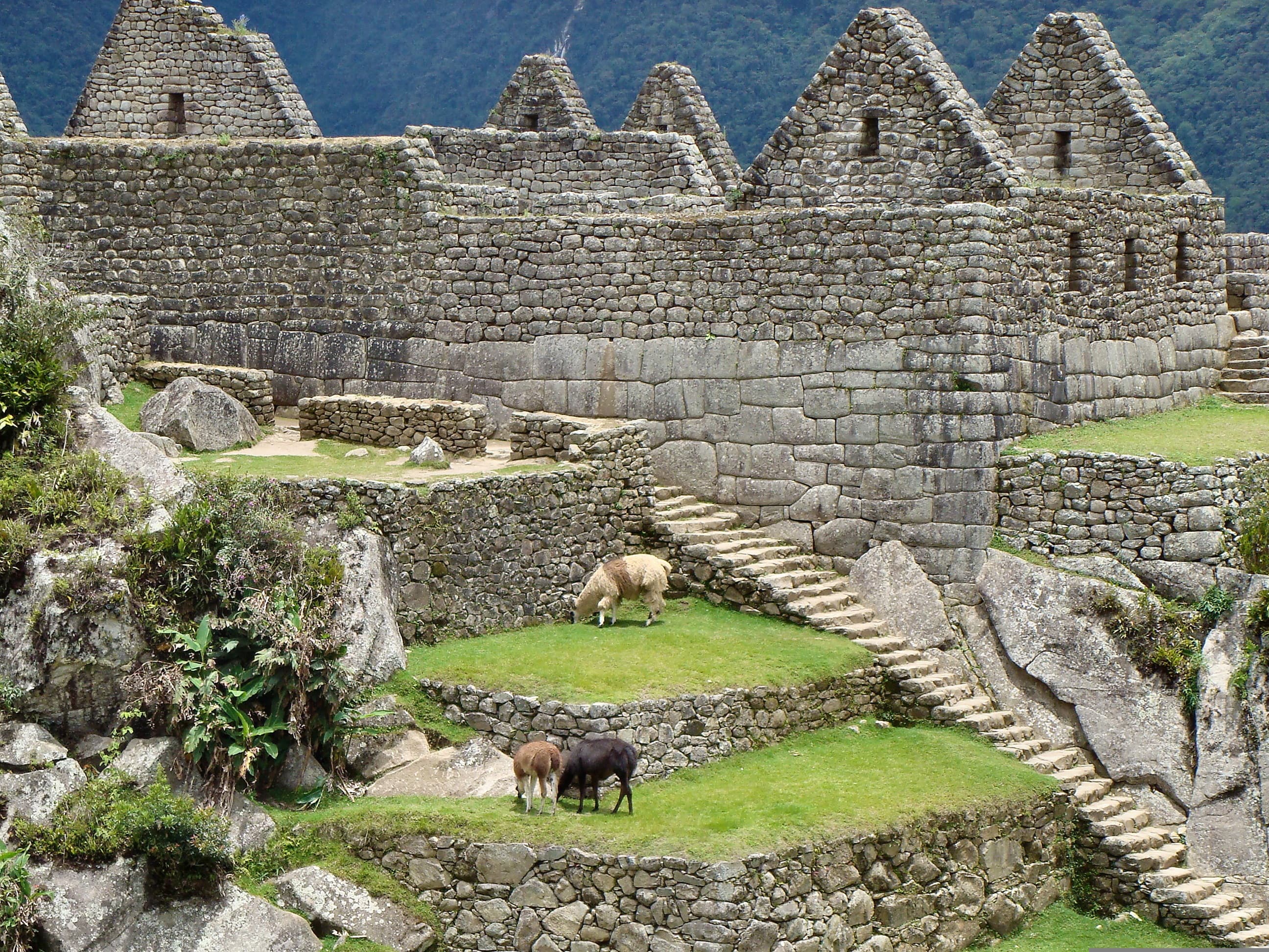 Tours en Cusco